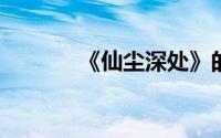 《仙尘深处》的职业选择分析