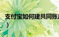 支付宝如何建共同账户（支付宝如何建立群聊）