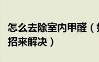怎么去除室内甲醛（如何去除室内甲醛六个妙招来解决）