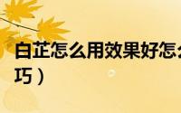 白芷怎么用效果好怎么用（用白芷美白的小技巧）
