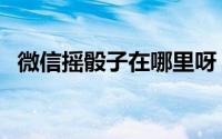 微信摇骰子在哪里呀（微信摇骰子在哪里）
