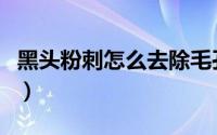 黑头粉刺怎么去除毛孔粗大（黑头粉刺怎么去）