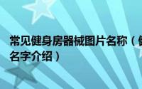 常见健身房器械图片名称（健身器材大全 健身房器械图片和名字介绍）