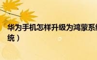 华为手机怎样升级为鸿蒙系统（华为手机怎样升级为鸿蒙系统）