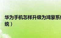 华为手机怎样升级为鸿蒙系统（华为手机怎样升级为鸿蒙系统）