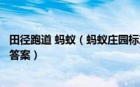 田径跑道 蚂蚁（蚂蚁庄园标准的田径跑道为什么是椭圆形的答案）