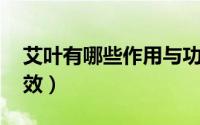 艾叶有哪些作用与功效（艾叶有哪些作用 功效）