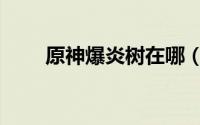 原神爆炎树在哪（原神爆炎树在哪）