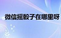 微信摇骰子在哪里呀（微信摇骰子在哪里）