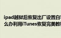 ipad越狱后恢复出厂设置白苹果怎么办（iPad变成白苹果怎么办利用iTunes恢复完美教程）