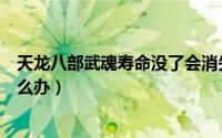 天龙八部武魂寿命没了会消失吗（天龙八部武魂寿命没了怎么办）