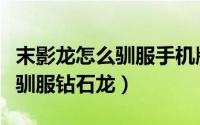 末影龙怎么驯服手机版不加模组（末影龙怎么驯服钻石龙）