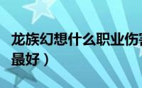 龙族幻想什么职业伤害高（龙族幻想什么职业最好）