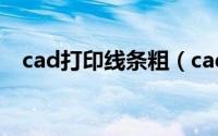 cad打印线条粗（cad打印线条粗细设置）