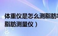 体重仪是怎么测脂肪率的（如何选购体重身体脂肪测量仪）