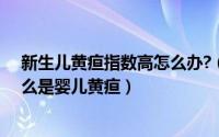 新生儿黄疸指数高怎么办?（新生婴儿黄疸指数高怎么办什么是婴儿黄疸）