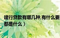建行贷款有哪几种,有什么要求（建行的个人贷款的相关条件都是什么）