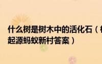 什么树是树木中的活化石（桦木被誉为木本植物里的活化石起源蚂蚁新村答案）