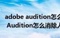 adobe audition怎么消除环境噪音（Adobe Audition怎么消除人声）
