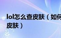 lol怎么查皮肤（如何查询英雄联盟 LOL英雄皮肤）