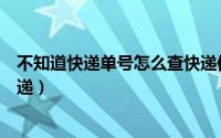 不知道快递单号怎么查快递信息（不知道快递单号怎么查快递）