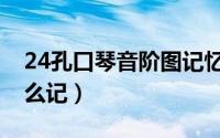24孔口琴音阶图记忆法（24孔口琴音阶图怎么记）