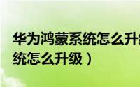 华为鸿蒙系统怎么升级mate30（华为鸿蒙系统怎么升级）
