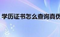 学历证书怎么查询真伪（学历证书怎么查询）
