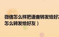 微信怎么样把语音转发给好友（微信怎么转发语音微信语音怎么转发给好友）
