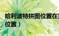 哈利波特拼图位置在禁林边缘（哈利波特拼图位置）