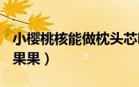 小樱桃核能做枕头芯吗（DIY樱桃核枕头之糖果果）
