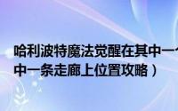 哈利波特魔法觉醒在其中一个走廊（哈利波特魔法觉醒在其中一条走廊上位置攻略）