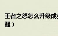 王者之怒怎么升级成英雄级（王者之怒怎么觉醒）
