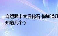 自然界十大活化石 你知道几个答案（自然界十大活化石 你知道几个）