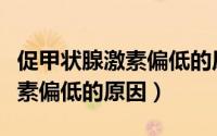 促甲状腺激素偏低的原因是什么（促甲状腺激素偏低的原因）