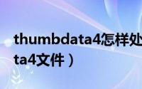 thumbdata4怎样处理（如何删除thumbdata4文件）