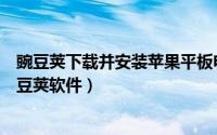 豌豆荚下载并安装苹果平板电脑（苹果平板电脑怎样下载豌豆荚软件）