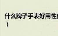 什么牌子手表好用性价比高（什么牌子手表好）