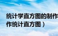 统计学直方图的制作步骤（如何使用excel制作统计直方图）
