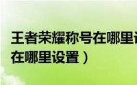 王者荣耀称号在哪里设置局内（王者荣耀称号在哪里设置）