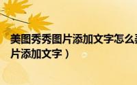 美图秀秀图片添加文字怎么弄的（在线版美图秀秀如何给图片添加文字）