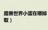 魔兽世界小蛋在哪掉（魔兽世界小蛋在哪里获取）