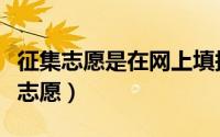 征集志愿是在网上填报吗（如何填报网上征集志愿）