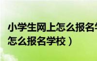 小学生网上怎么报名学校英德市（小学生网上怎么报名学校）