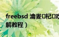 freebsd 瀹夎杞欢（FreeBSD系统安装图解教程）