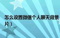 怎么设置微信个人聊天背景（怎么设置微信个人聊天背景图片）