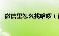 微信里怎么找哈啰（微信里怎么找健康码）