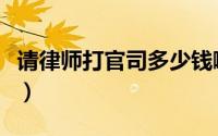 请律师打官司多少钱啊（请律师打官司多少钱）