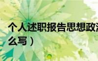 个人述职报告思想政治方面（个人述职报告怎么写）