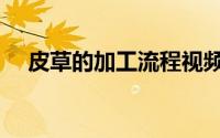 皮草的加工流程视频（皮草的加工制造）